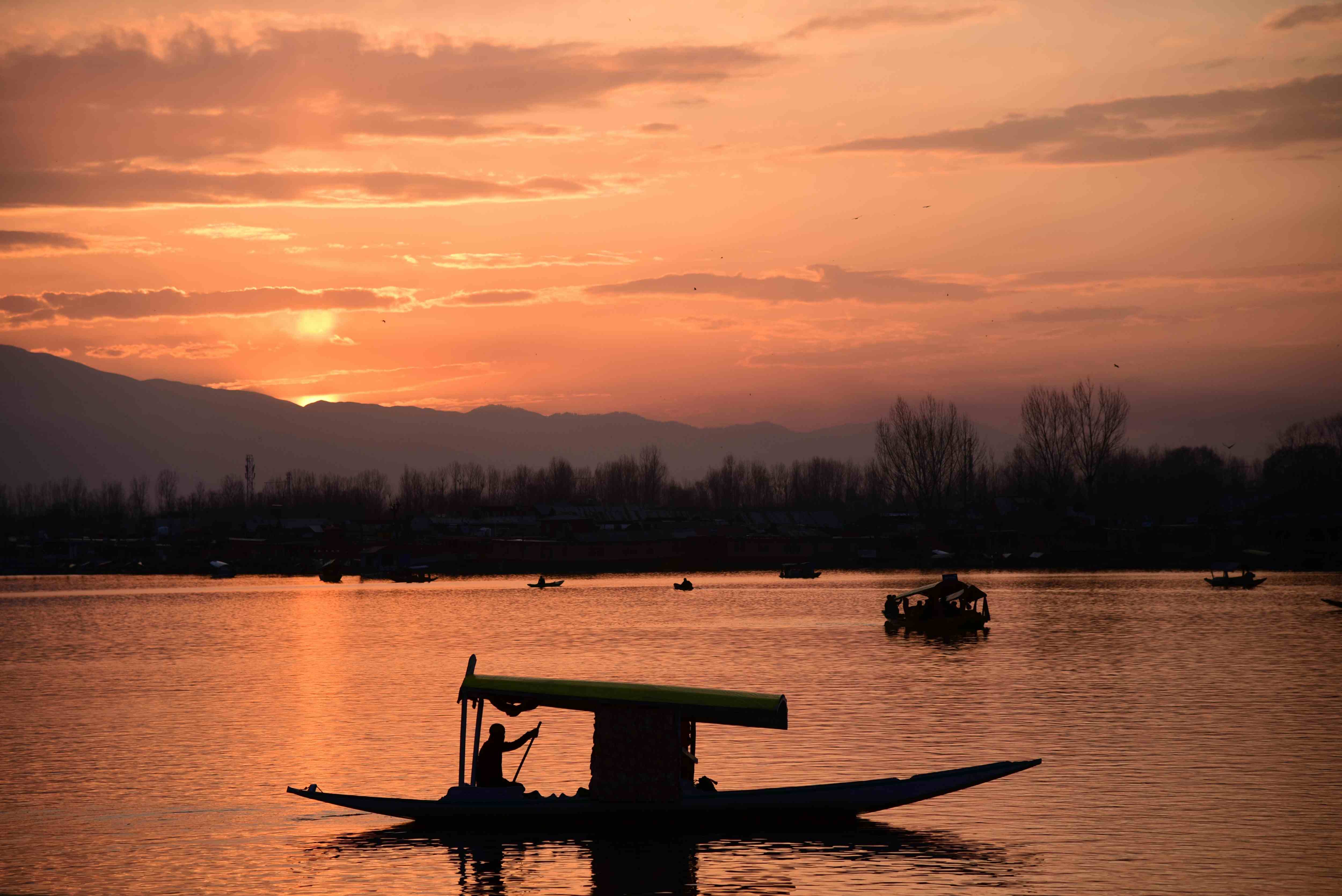 Kashmir Bliss
